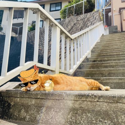 Kくん🌸🐇・🍳🐔・まうとも・コケ友・煮沸消毒67期生