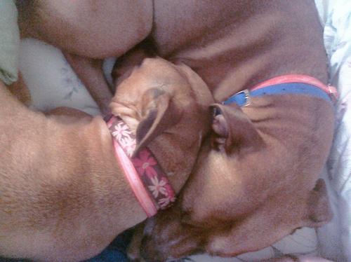 Leanne_DeSisto's profile picture. 