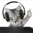 steve89234's profile image
