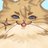 sett1set's profile image