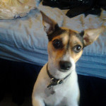 greggde's profile picture. 