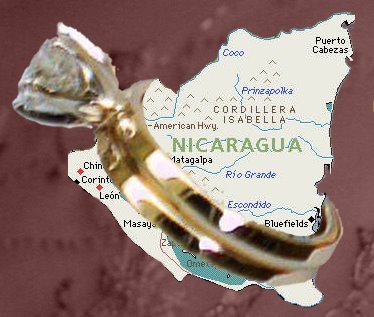 ring4nicaragua's profile picture. Missions Nicaragua: 
National NGO: ACBBI, 
Intl. NGO: Asociación Avance, 
7 churches,
7 children's feeding centers, 
3 sports centers, 
1 Medical Center