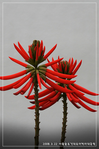 klkim6069's profile picture. 더불어 사는 세상과 상식이 통하는 세상이 좋은 세상이다! 관심분야:먹고사는문제/등산/사진/여행/스포츠/정치