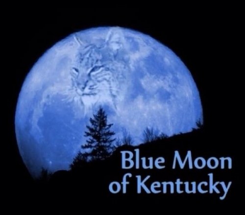 cgbruin's profile picture. 