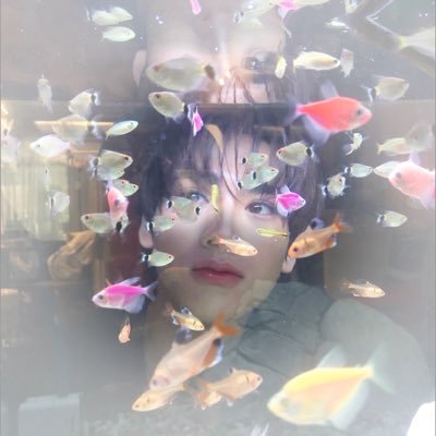 hjm 🪼⭐️ 𐙚⋆°.