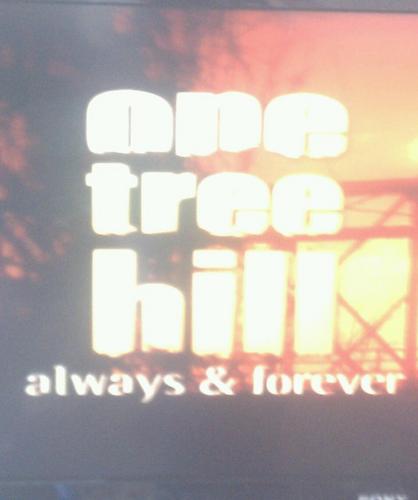 A fan of One Tree Hill who loves quotes from the show. The numbers in my name are the Scott's jersey numbers from Tree Hill High. Enjoy :) #OTHFamily Much Love!