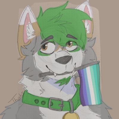 F² Coyote🌵╏23yo🇲🇽╏HARDSTYLE BABY 🪚╏Gay/Gray ♂️👁️╏Fursuiter╏BF🍼╏Shareholder 💼╏A change is coming... 01/01/2026