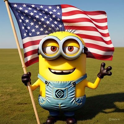 Proudly USA Minion