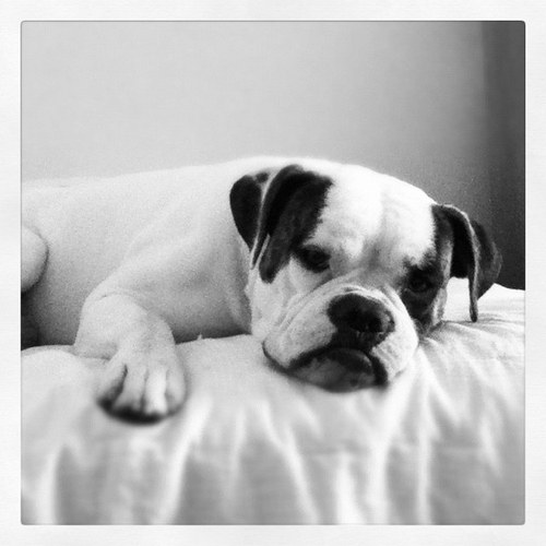 izzi76's profile picture. 