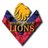 RL_Lions's profile image
