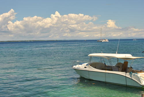 jerngi's profile picture. 