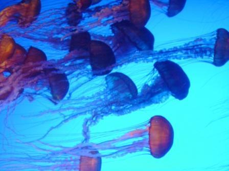 sbm218's profile picture. 