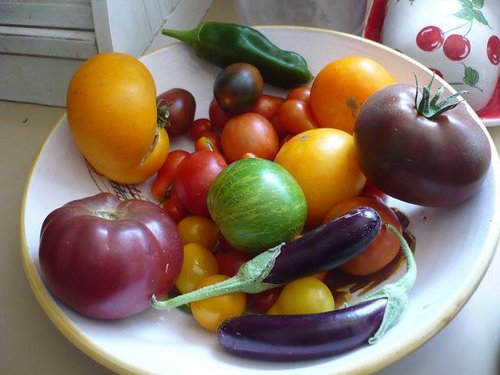 DrysideUG's profile picture. Dryside Urban Gardening! We specialize in organic garden supplies & urban homesteading products. 541-296-4DUG at 2937 E 2nd ST #9