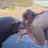 marinemammal247's profile image