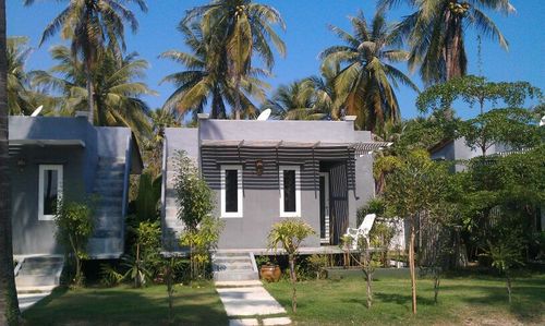 LexvanderHulst's profile picture. 