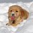 AURELIA1070192's profile image