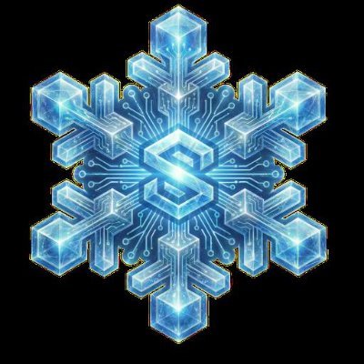 Ice Snow Coin