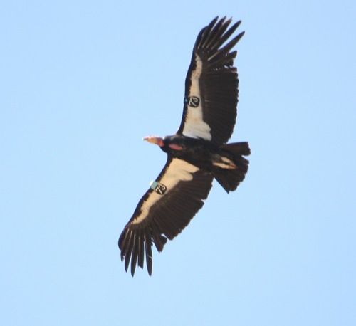 GrandCanyonRaft's profile picture. Premier Guided rafting expeditions in Grand Canyon, Utah, and Alaska on the Colorado River, Green River, Alsek River and Tatshenshini River.