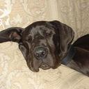 Phil Singleton - @PhilSingleton1 - Twitter