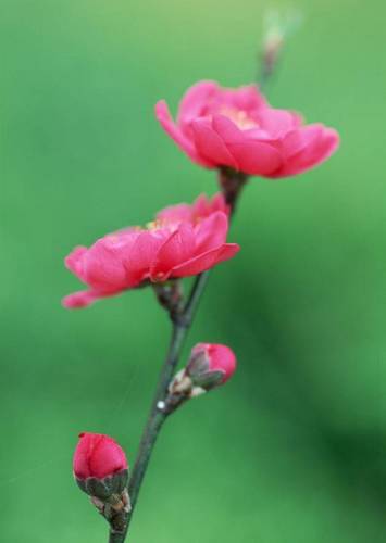 BelyhMyudm's profile picture. 