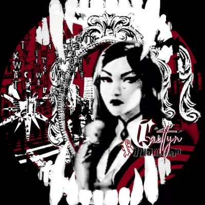 ⌗﹒🦇﹒˚₊‧ 𝕿𝗛𝗘 𝕿𝙈𝙈𝙊𝙍𝙏𝘼𝙇