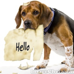 hayami_eng's profile picture. I've been learning English. Still not good at it so please go easy on me but feel free to talk to me😃

❤ K-POP girls

Recently interested in railways in Japan