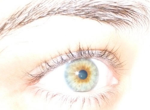 MAEspa1's profile picture. Sociologue, journaliste, compte perso.