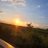 3311Yerko's profile image