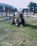 Louxholz's profile picture. 