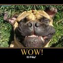 Mary Sutherland - @MarySizer1 - Twitter