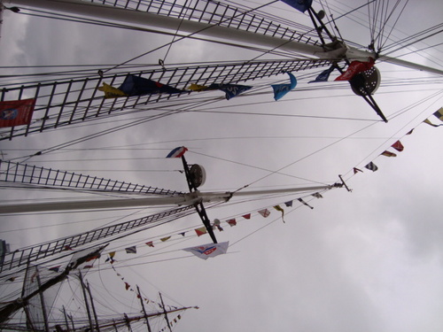 rickgroenink's profile picture. 