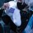 nijirere's profile image