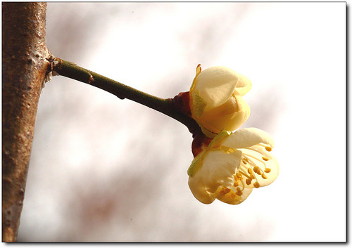 tnsmd1004's profile picture. 