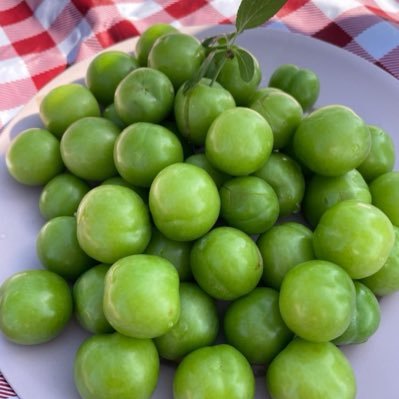 YEŞİL ERİK