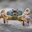 sabrina howe - @SabrinaHowe - Twitter