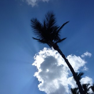 SZelm's profile picture. 