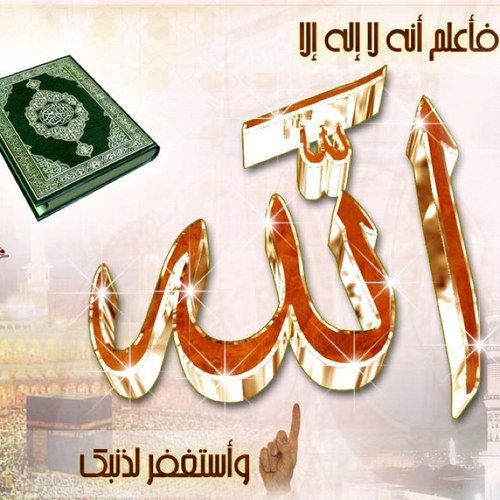 algala_omar's profile picture. 