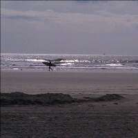 SpikeSurf's profile picture. 