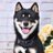 犬ワンとのんにんさんのプロフィール画像