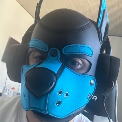 Profile under Construction 🚧 (until my Pup Hood is there)