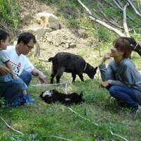 한경호 (@pano0316) 's Twitter Profile