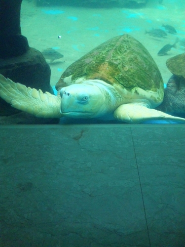 mssm0825's profile picture. 