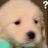 fluffybabo's profile image