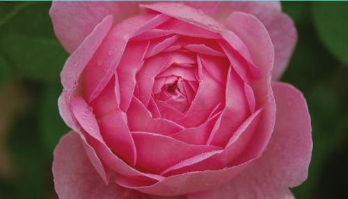 SimplyGoodPhoto's profile picture. Professional Real Estate Photos, Portraits, Weddings and Special Events