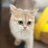 lovelydolly0410's profile image