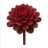 sansmercantile's profile image