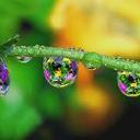 Annie Kwon - @anniekwon99 - Twitter