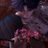 fishierafy's profile image