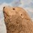 JGreen_LAT's profile image