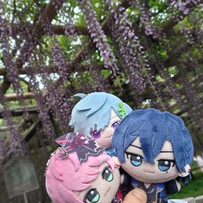 みー